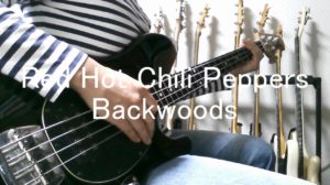 Red Hot Chili PeppersのBackwoodsを弾いてみた