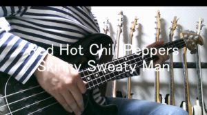 Red Hot Chili PeppersのSkinny Sweaty Manを弾いてみた