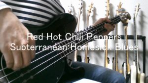 Red Hot Chili PeppersのSubterranean Homesick Bluesを弾いてみた