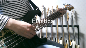 elastica annie bass cover