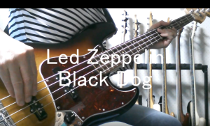 led zeppelin black dog bass cover